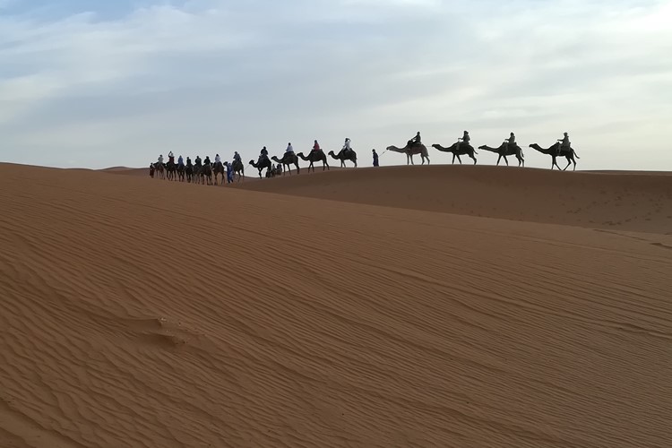 Cesta do Afriky - Velký okruh Marockým královstvím 