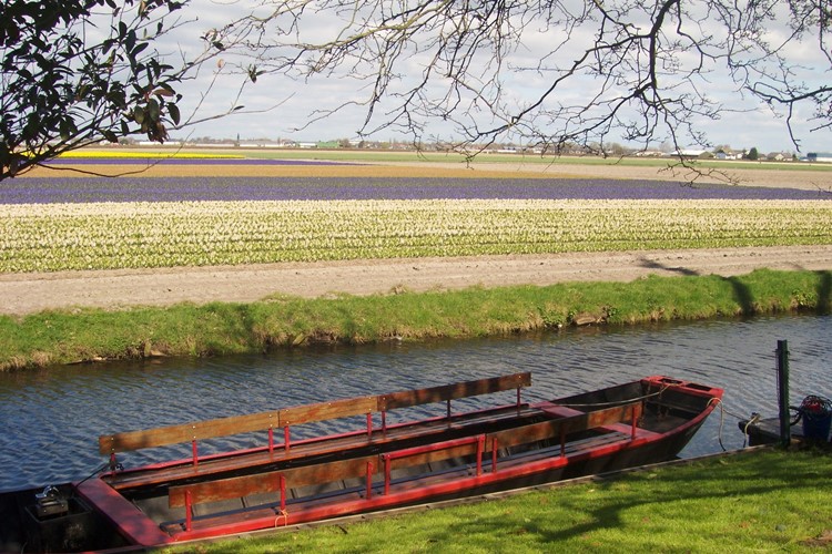 Jarní Nizozemsko v květu