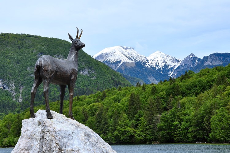 Julské Alpy a Triglavský národní park 