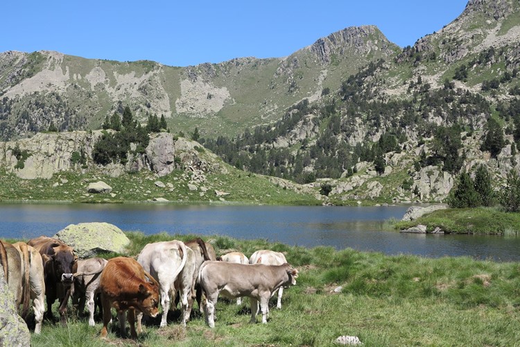 NP španělských Pyrenejí a Andory 